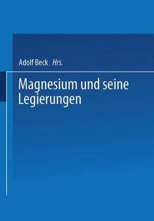 Magnesium und seine Legierungen de H. Altwicker