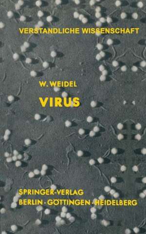 Virus: Die Geschichte vom Geborgten Leben de Wolfhard Weidel