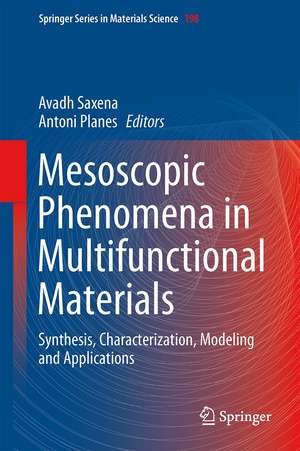 Mesoscopic Phenomena in Multifunctional Materials: Synthesis, Characterization, Modeling and Applications de Avadh Saxena