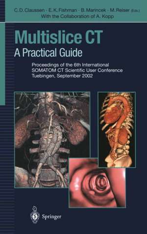 Multislice CT: A Practical Guide Proceedings of the 6th International SOMATOM CT Scientific User Conference Tuebingen, September 2002 de Claus D. Claussen