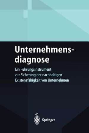 Unternehmensdiagnose: Ein Führungsinstrument zur Sicherung der nachhaltigen Existenzfähigkeit von Unternehmen de Klaus P. Nührich