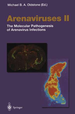 Arenaviruses II: The Molecular Pathogenesis of Arenavirus Infections de M.B.A. Oldstone