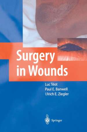 Surgery in Wounds de Luc Téot