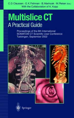 Multislice CT: A Practical Guide: Proceedings of the 5th International SOMATOM CT Scientific User Conference Zurich, June 2000 de B. Marincek