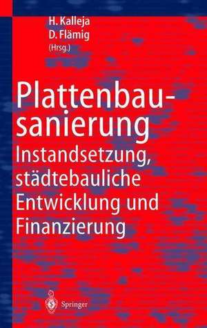 Plattenbausanierung: Instandsetzung, städtebauliche Entwicklung und Finanzierung de Hartmut Kalleja