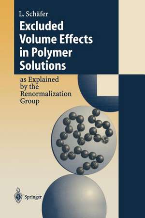 Excluded Volume Effects in Polymer Solutions: as Explained by the Renormalization Group de Lothar Schäfer