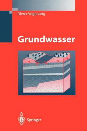 Grundwasser de Dieter Vogelsang