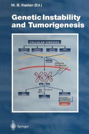 Genetic Instability and Tumorigenesis de Michael B. Kastan