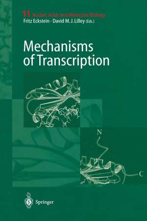 Mechanisms of Transcription de Fritz Eckstein