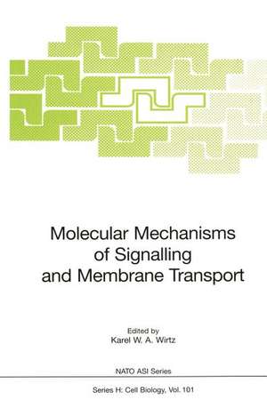 Molecular Mechanisms of Signalling and Membrane Transport de Karel W. A. Wirtz