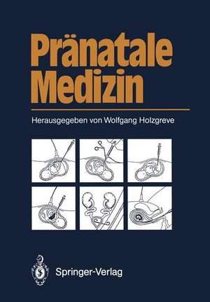 Pränatale Medizin de Frauke Beller