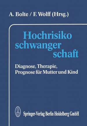 Hochrisikoschwangerschaft: Diagnose, Therapie, Prognose für Mutter und Kind de A. Bolte