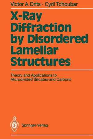 X-Ray Diffraction by Disordered Lamellar Structures: Theory and Applications to Microdivided Silicates and Carbons de Gerard Besson