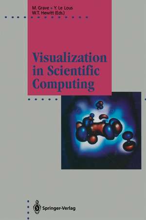 Visualization in Scientific Computing de Michel Grave