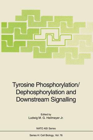 Tyrosine Phosphorylation/Dephosphorylation and Downstream Signalling de Ludwig M. G. Jr. Heilmeyer