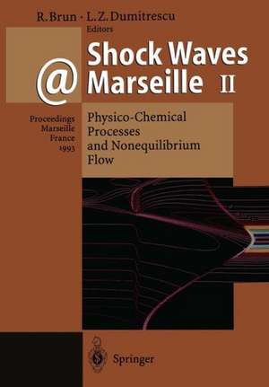 Shock Waves @ Marseille II: Physico-Chemical Processes and Nonequilibrium Flow Proceedings of the 19th International Symposium on Shock Waves Held at Marseille, France, 26–30 July 1993 de Raymond Brun