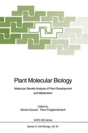 Plant Molecular Biology: Molecular Genetic Analysis of Plant Development and Metabolism de Gloria Coruzzi