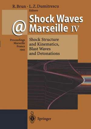 Shock Waves @ Marseille IV: Shock Structure and Kinematics, Blast Waves and Detonations de Raymond Brun