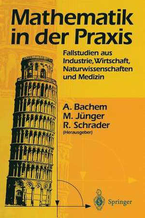 Mathematik in der Praxis: Fallstudien aus Industrie, Wirtschaft, Naturwissenschaften und Medizin de Achim Bachem