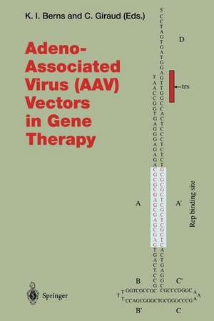 Adeno-Associated Virus (AAV) Vectors in Gene Therapy de Kenneth I. Berns