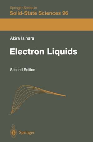 Electron Liquids de Akira Isihara