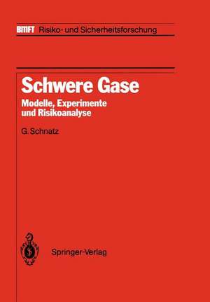 Schwere Gase: Modelle, Experimente und Risikoanalyse de G. Schnatz