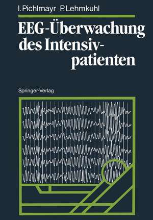 EEG-Überwachung des Intensivpatienten de Ina Pichlmayr