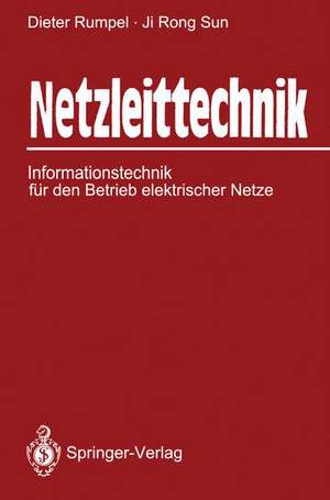 Netzleittechnik: Informationstechnik für den Betrieb elektrischer Netze de Dieter Rumpel