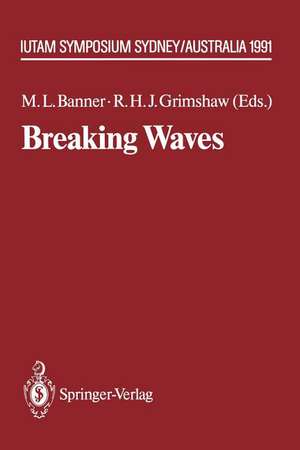 Breaking Waves: IUTAM Symposium Sydney, Australia 1991 de Michael L. Banner