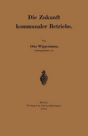 Die Zukunft kommunaler Betriebe de Otto Wippermann