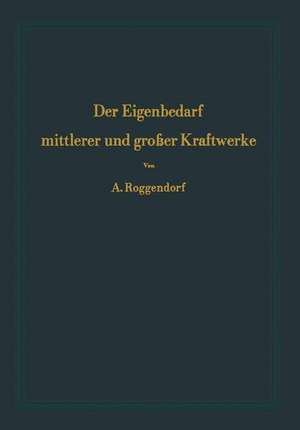 Der Eigenbedarf mittlerer und großer Kraftwerke de Alexander Roggendorf