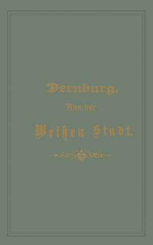 Aus der Weißen Stadt: Spaziergänge in der Chicagoer Weltausstellung und weitere Fahrten de Friedrich Dernburg