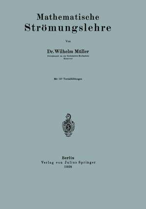 Mathematische Strömungslehre de Wilhelm Müller