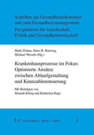 Krankenhausprozesse im Fokus: Optimierte Ansätze zwischen Ablaufgestaltung und Kennzahlensteuerung de Mark Zluhan