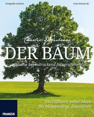 Der Baum - Bäume beeindruckend fotografieren de Charlie Dombrow