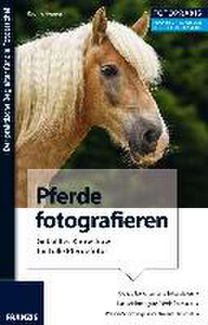 Foto Praxis Pferde fotografieren de Regine Heuser