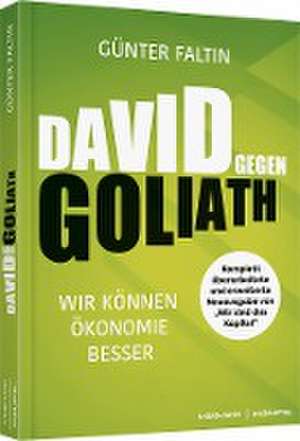 DAVID gegen GOLIATH de Günter Faltin