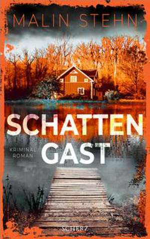 Schattengast de Malin Stehn