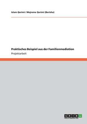 Praktisches Beispiel aus der Familienmediation de Mejreme Qerimi (Berisha)