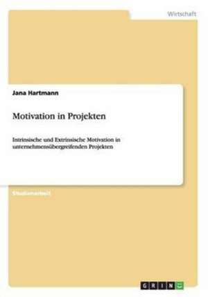 Motivation in Projekten de Jana Hartmann