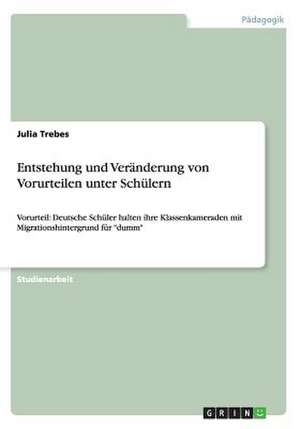 Entstehung und Veränderung von Vorurteilen unter Schülern de Julia Trebes