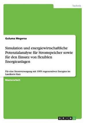 Simulation und energiewirtschaftliche Potenzialanalyse für Stromspeicher sowie für den Einsatz von flexiblen Energieanlagen de Guluma Megersa