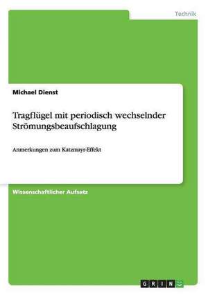 Tragflügel mit periodisch wechselnder Strömungsbeaufschlagung de Michael Dienst