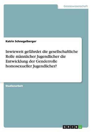 Inwieweit gefährdet die gesellschaftliche Rolle männlicher Jugendlicher die Entwicklung der Genderrolle homosexueller Jugendlicher? de Katrin Schnegelberger