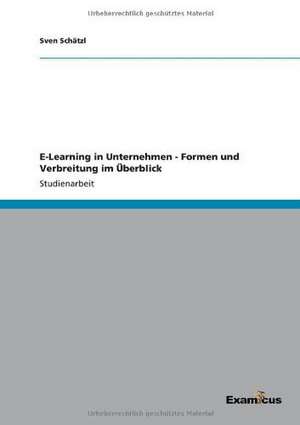 E-Learning in Unternehmen - Formen und Verbreitung im Überblick de Sven Schätzl