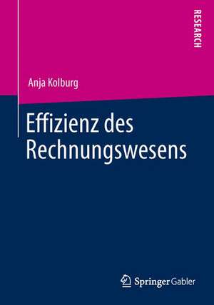 Effizienz des Rechnungswesens de Anja Kolburg