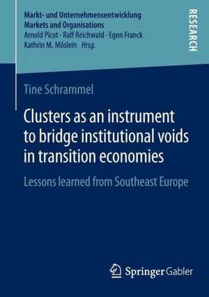 Clusters as an instrument to bridge institutional voids in transition economies: Lessons learned from Southeast Europe de Tine Schrammel