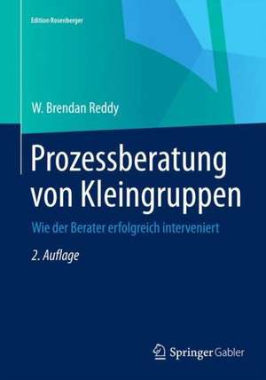 Prozessberatung von Kleingruppen: Wie der Berater erfolgreich interveniert de W. Brendan Reddy