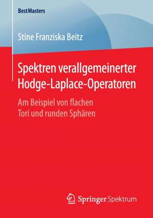 Spektren verallgemeinerter Hodge-Laplace-Operatoren: Am Beispiel von flachen Tori und runden Sphären de Stine Franziska Beitz