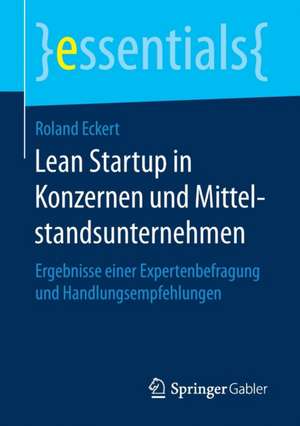 Lean Startup in Konzernen und Mittelstandsunternehmen: Ergebnisse einer Expertenbefragung und Handlungsempfehlungen de Roland Eckert